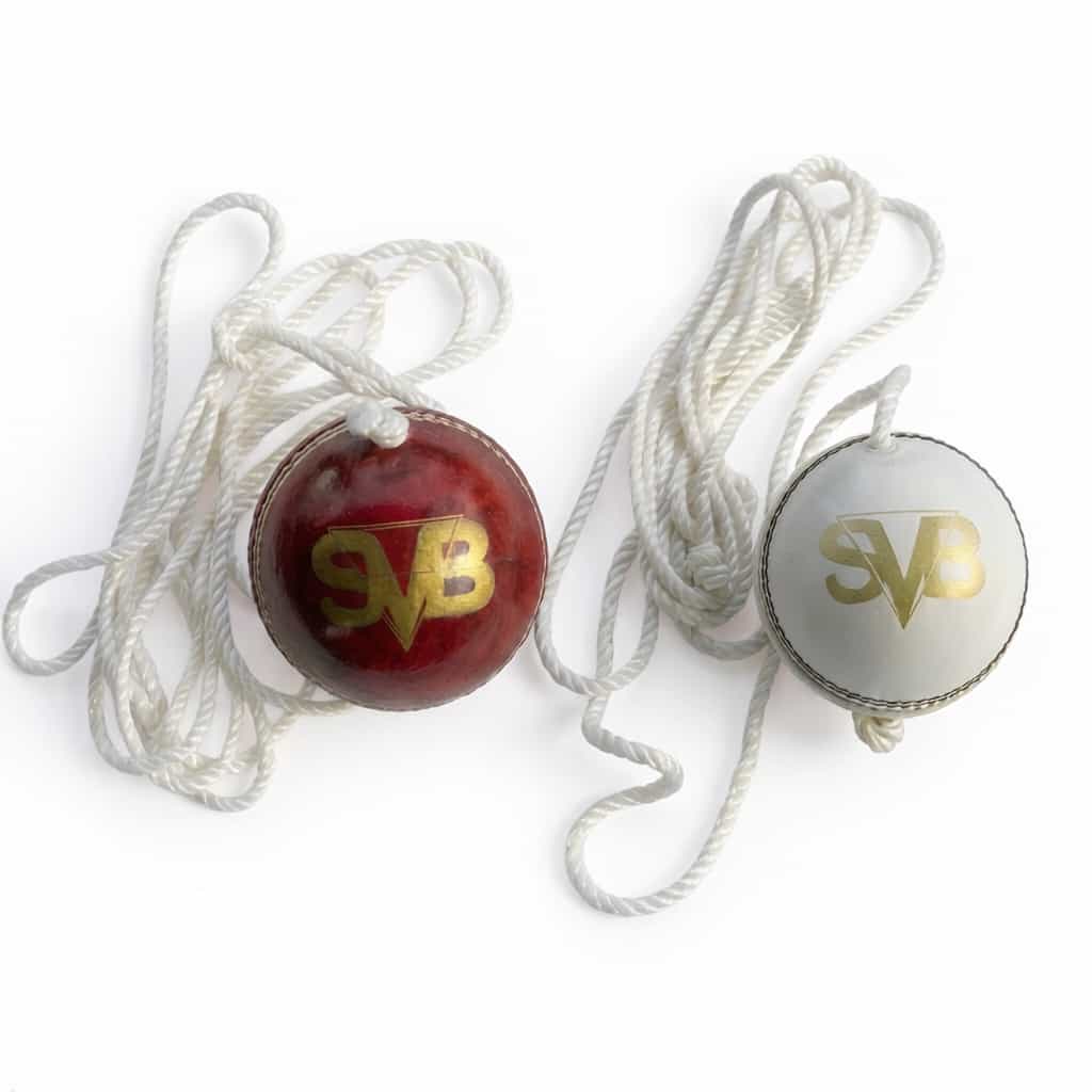 SVB Hanging Leather Cricket Ball (156g) with Practice Rope