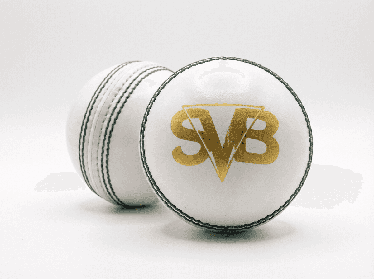 SVB Test Cricket Leather Ball