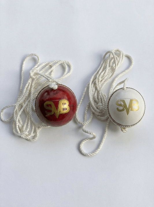 SVB Hanging Leather Cricket Ball (156g) with Practice Rope