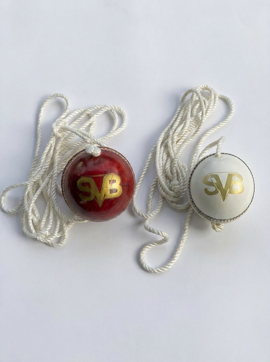 SVB Hanging Leather Cricket Ball (156g) with Practice Rope