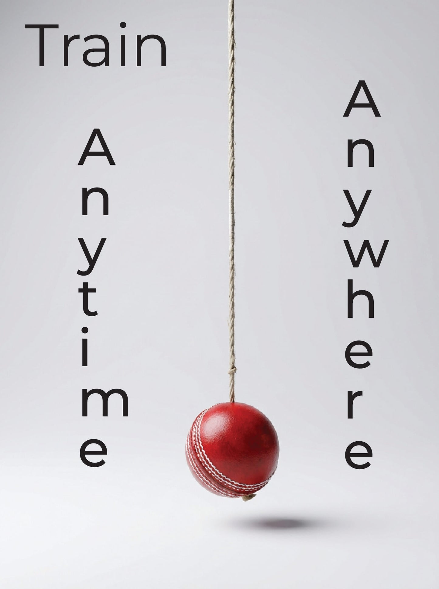 Indoor cricket training aid hanging ball for home or office practice