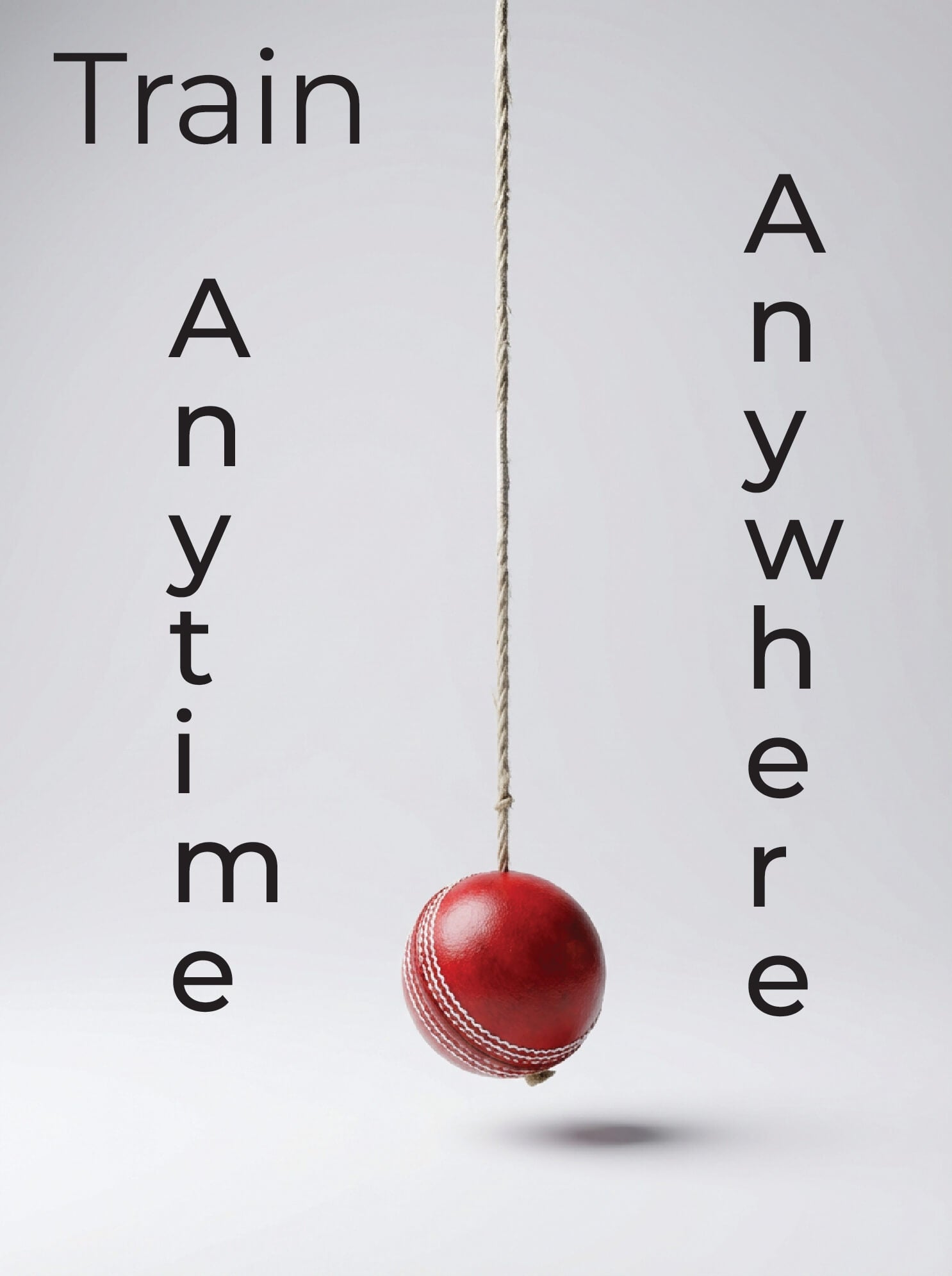 Indoor cricket training aid hanging ball for home or office practice